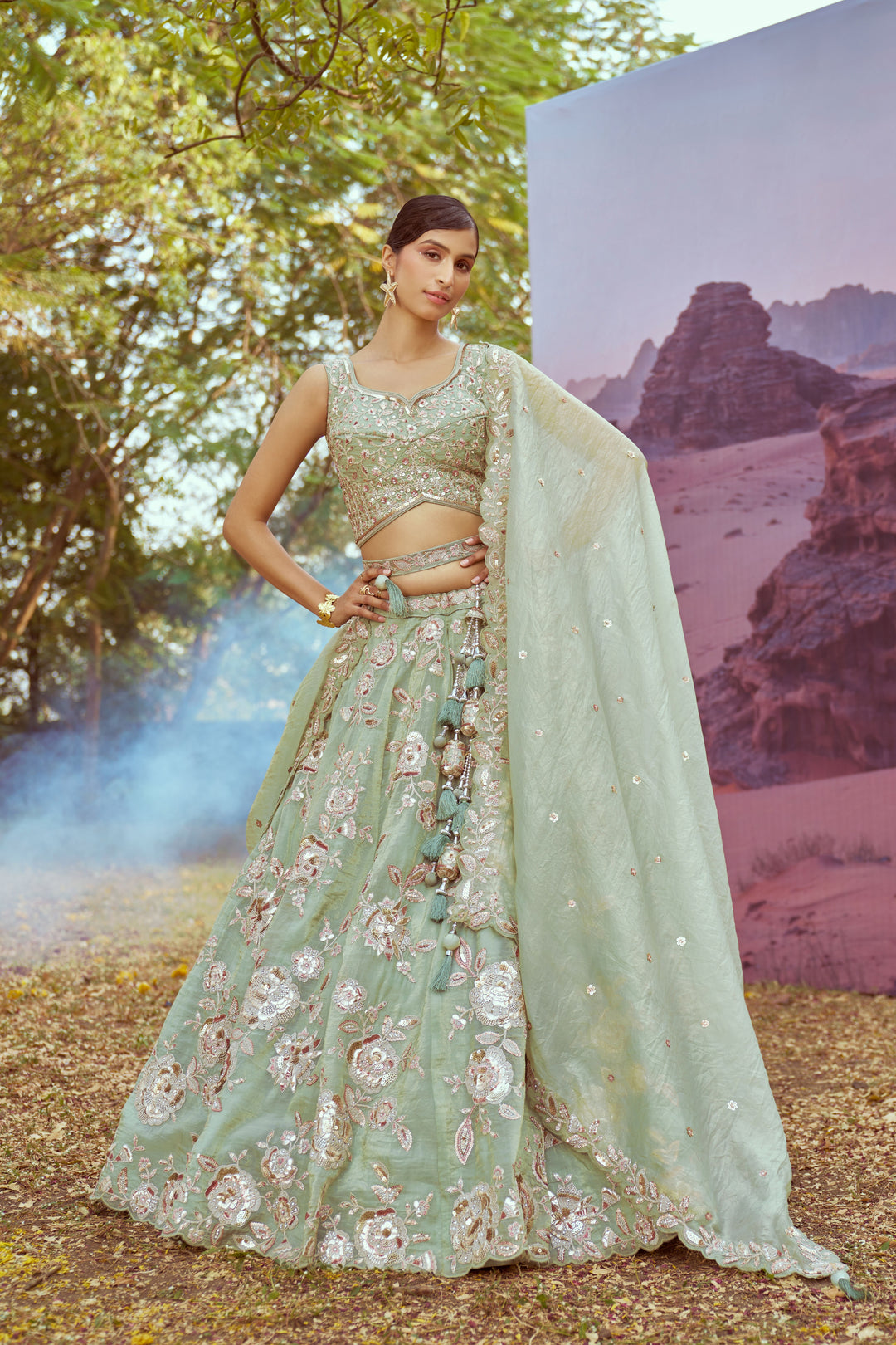 Elegant Organza Lehenga | Fancy Choli with Heavy Embroidery