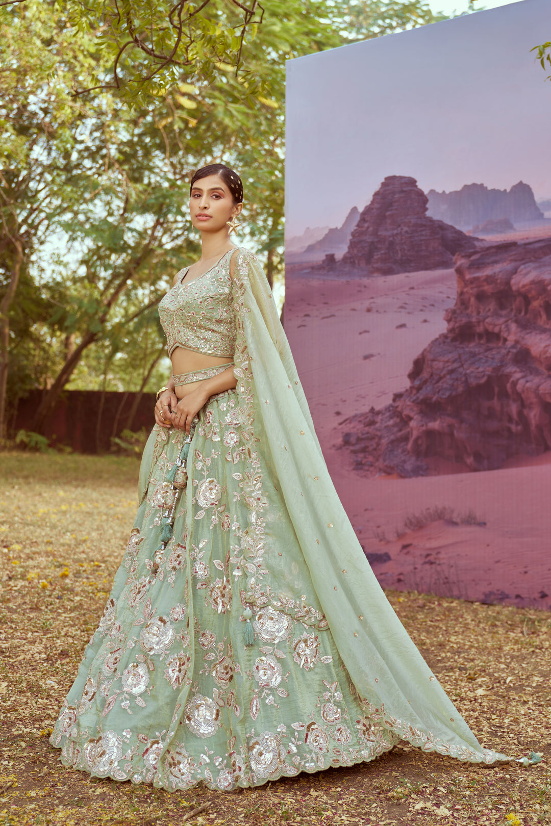 Elegant Organza Lehenga | Fancy Choli with Heavy Embroidery