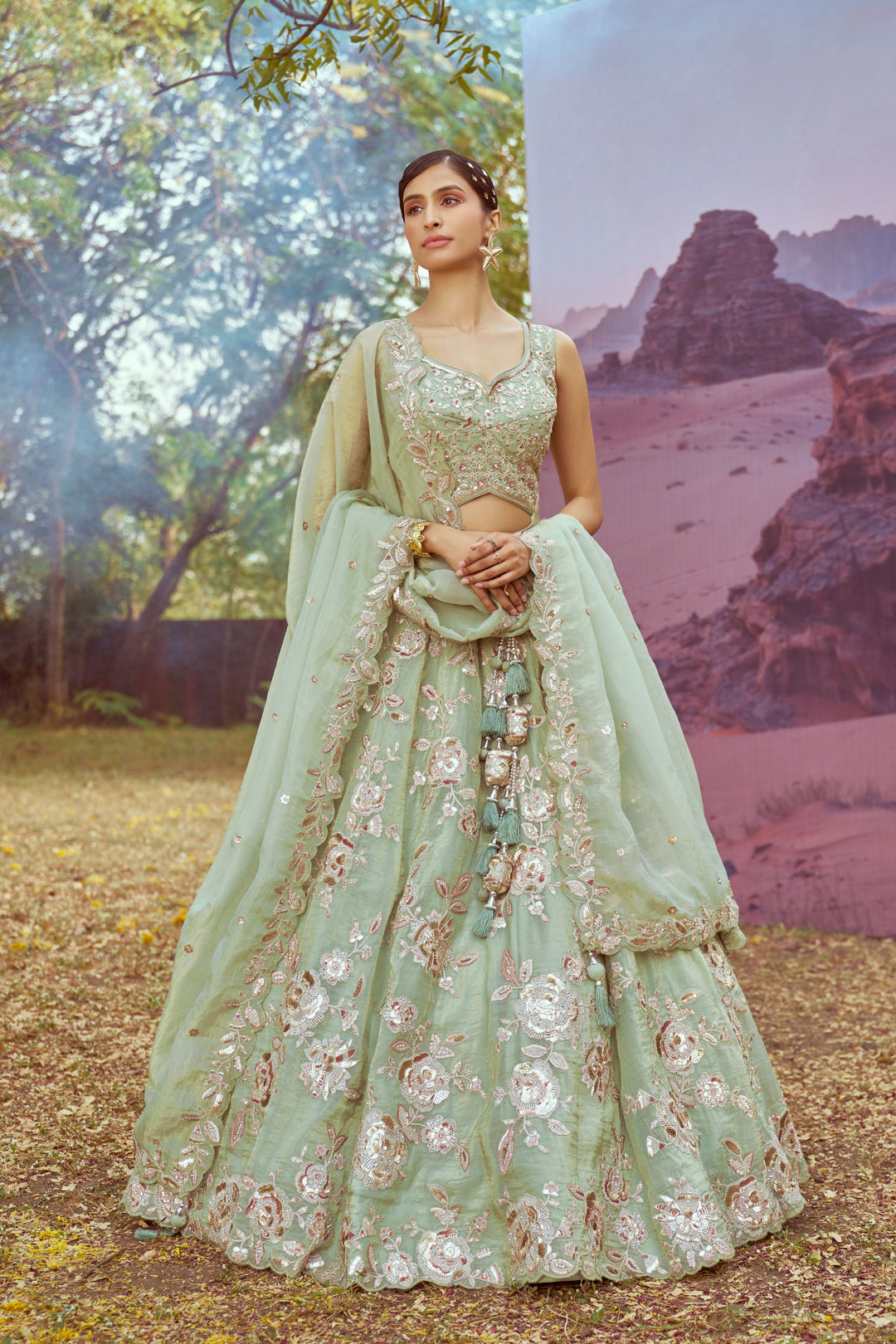 Elegant Organza Lehenga | Fancy Choli with Heavy Embroidery