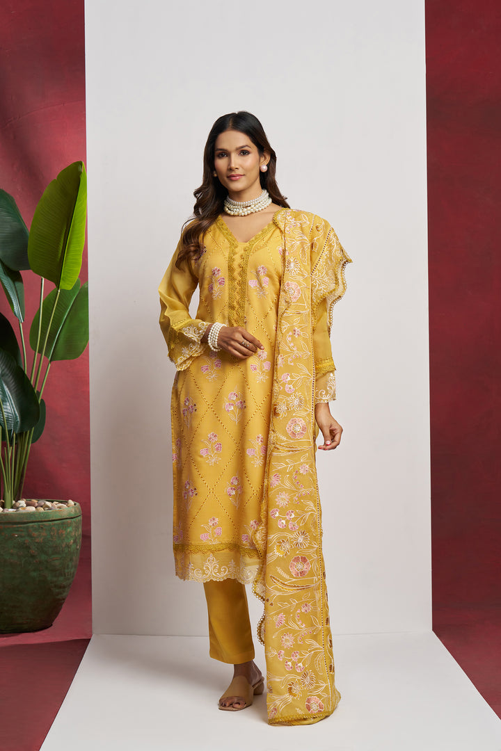 Elegant Organza Suit with Heavy Embroidery | Perfect for Festive Occasions