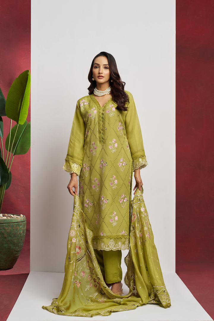 Elegant Organza Suit with Heavy Embroidery | Perfect for Festive Occasions