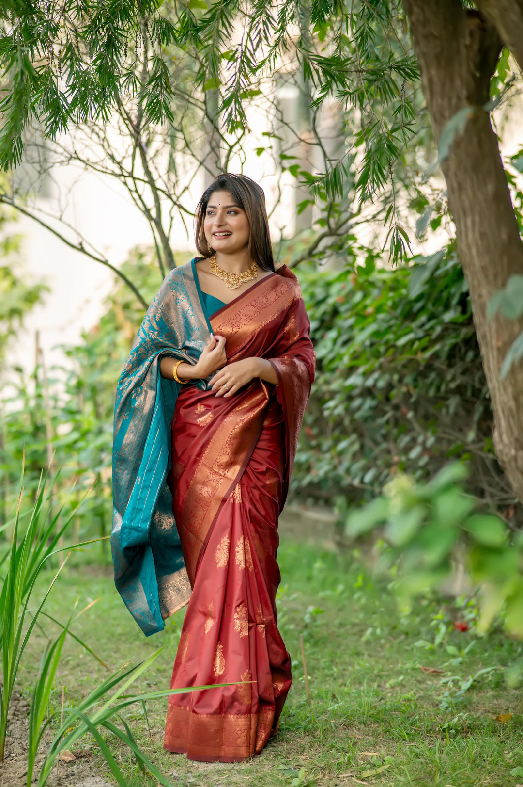 Designer Red Indian Sari featuring luxurious zari weaving and a rich contrast zari pallu for an elegant look.