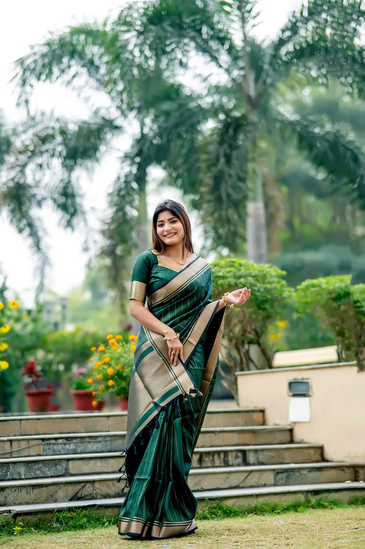 Beautiful brown Banarasi saree with elaborate zari work, perfect for a regal look at cultural events.