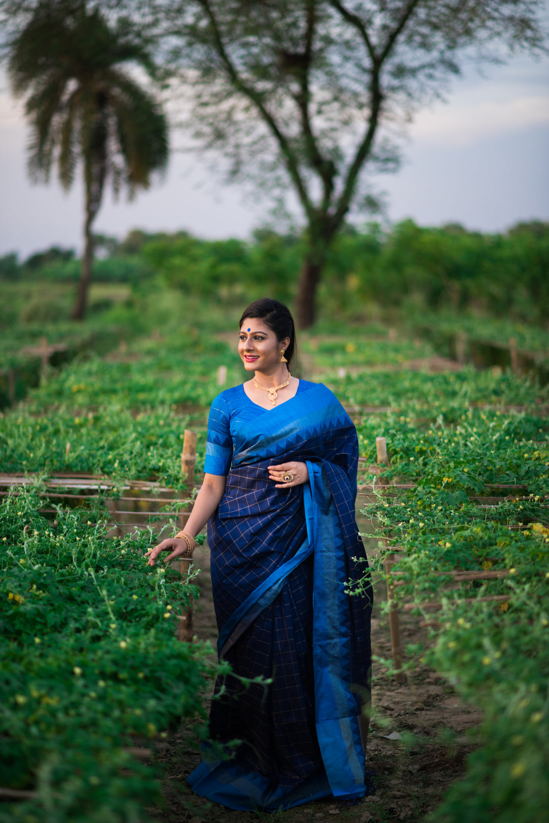 Soft raw silk saree with contrast temple woven border and all-over checks