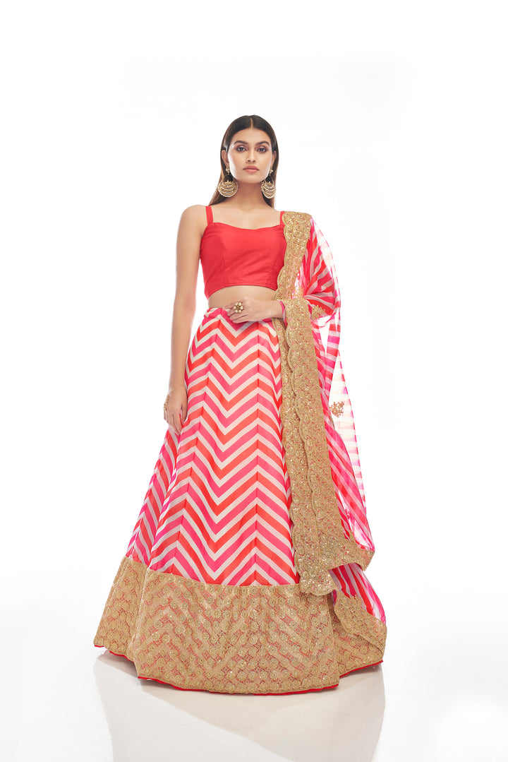 Pink Organza Lehenga with Digital Print & Dori Embroidery | Party Wear