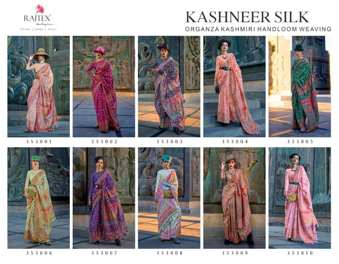 Designer Kashmiri Pashmina Organza Silk Saree | Traditional Indian Wear