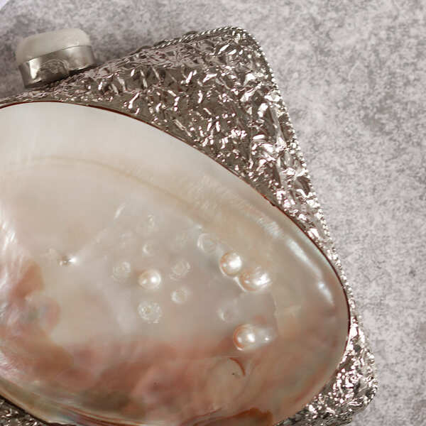 Mumtaz Mother of Pearl Clutch | Timeless Style Elegant Handbag