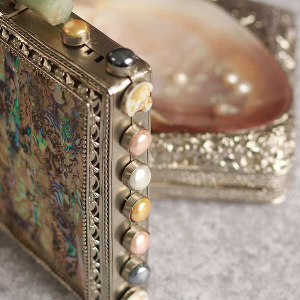 Salma Mother of Pearl Clutch | Elegant High-End Fashion Accessory