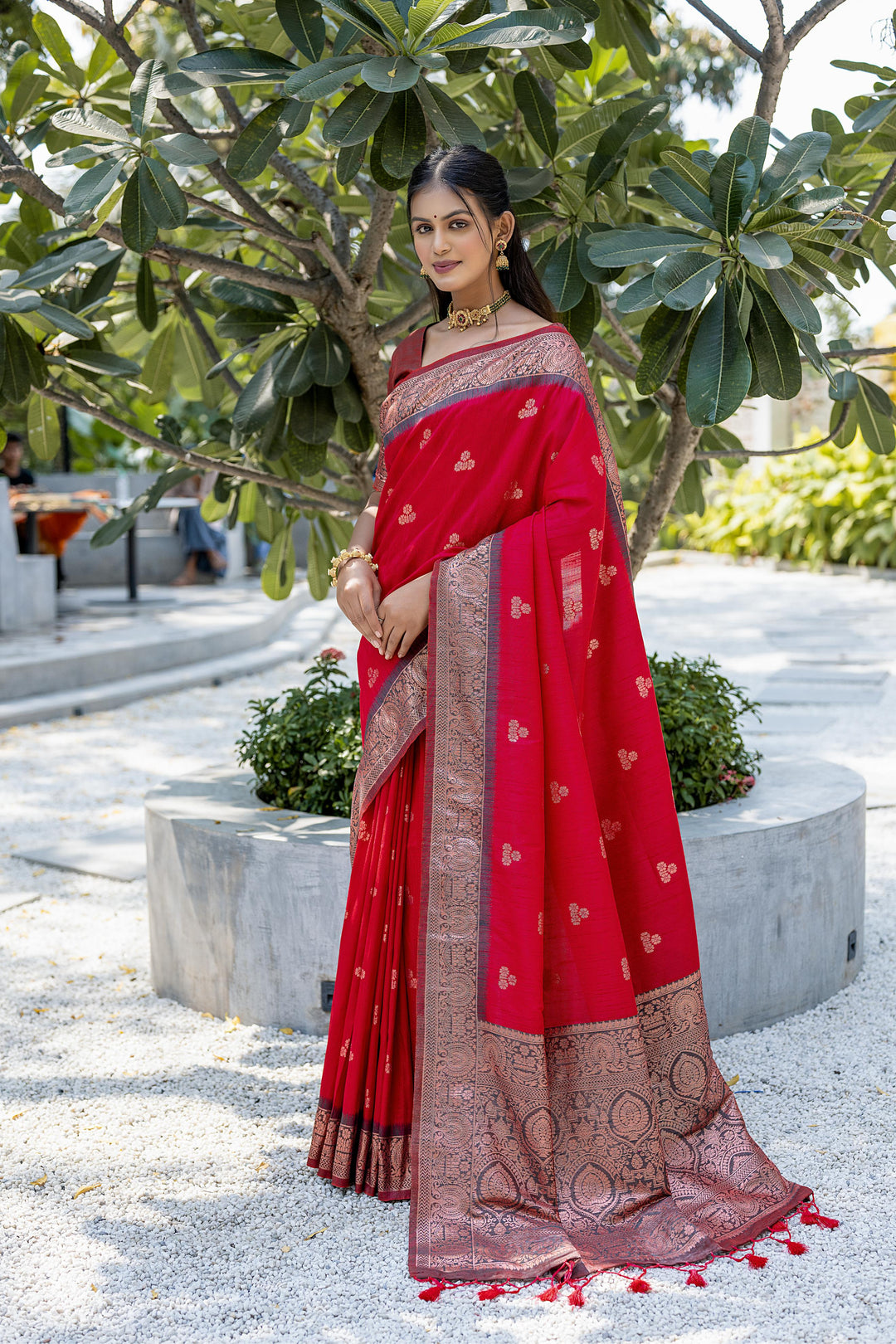 USA-focused soft Banarasi saree with intricate zari work and tassels