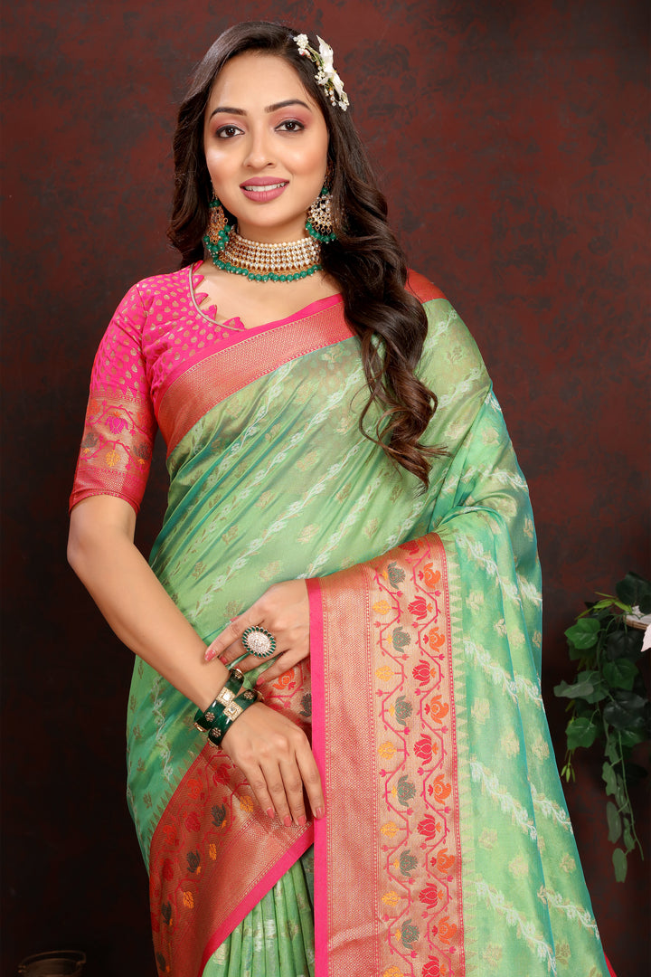 Timeless pista green saree in soft organza with graceful patterns, perfect for cultural gatherings and special occasions.