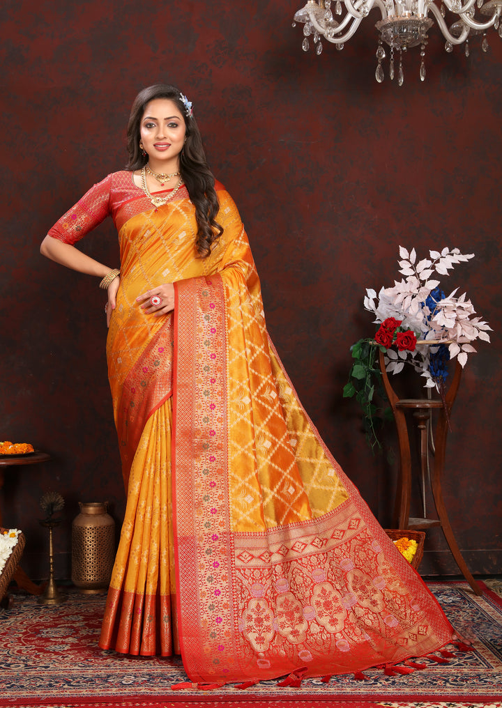 Orange Organza sari with rich detailing and matching blouse, perfect for traditional Indian gatherings.