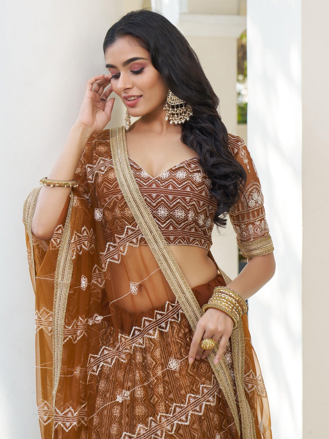 Brown Net Lehenga Choli | Embroidered Lehenga with Lace & Thread Work