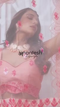 Peach Net Lehenga with Silk Blouse | Elegant Sequins Lehenga Choli