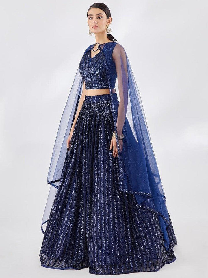 Beautiful Blue Sequin Net Lehenga Choli with Dupatta | Party Wear